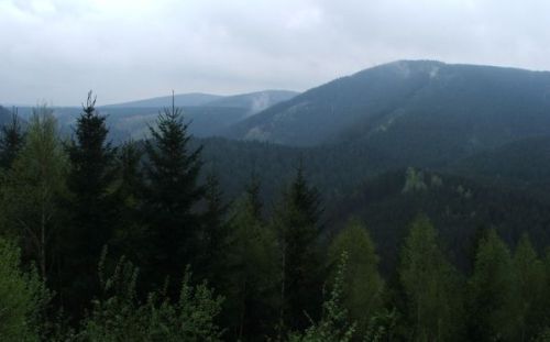 Blick über den Harz